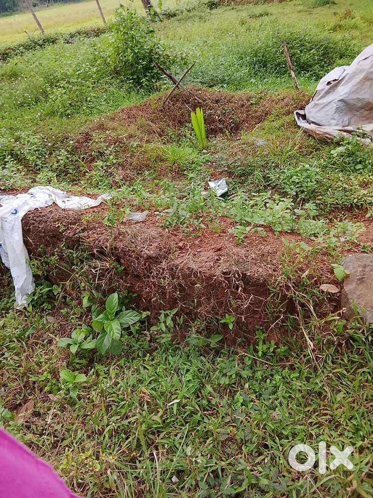 10 CENT LAND FOR SALE KUTHIRAVATTON CALICUT