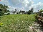 Agricultural land with ample parking space for warehouse or car shed