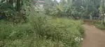 Land for sale in Thaliyil, Dharmashala, Kannur
