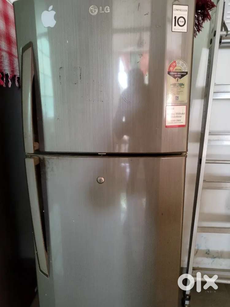 LG 240 Little double door frost free