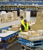 We are hiring Staff Packing,Scanning,Billing, Data Entry