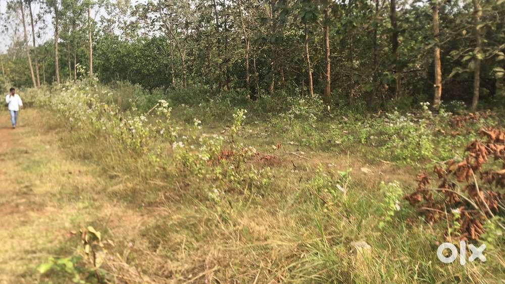 580 sq yards near Guchimi, Parvathipuram