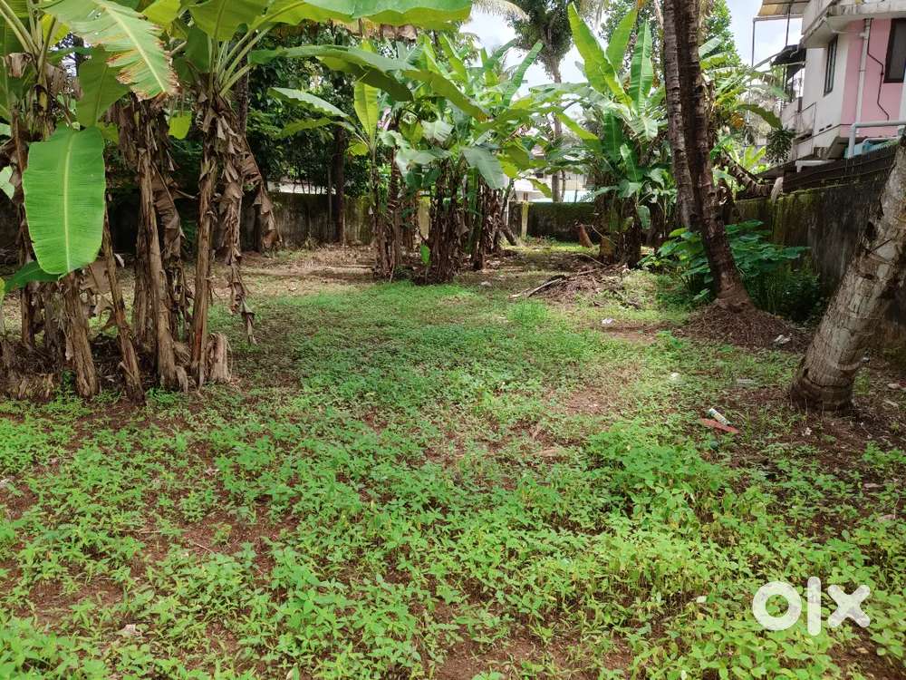 Kadappakada 16 Cent , Given as 2 Plots