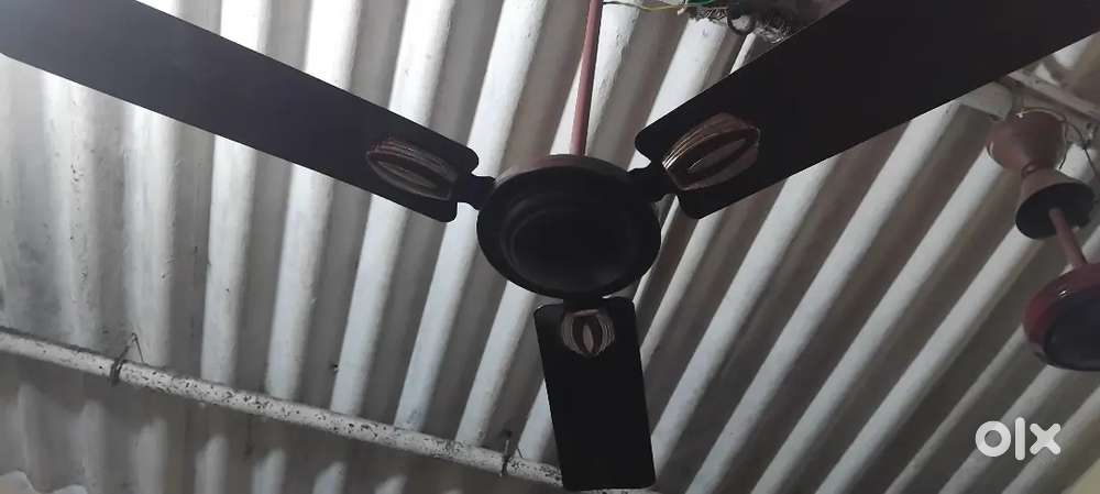 ceiling fan   CROMPTON sea briz Rs750