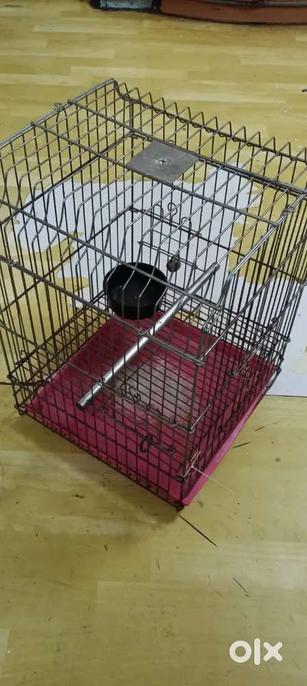Birds cage