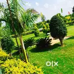A Katha 20x42 plot just 7 laks.
