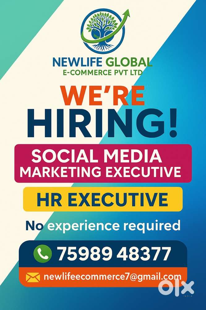Hiring Social Media & HR Executives – No Experience Required