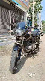 Pulsar 150 songle owner urgent sale