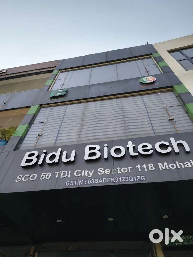 Driver Required for personal Car. Local Dirver only