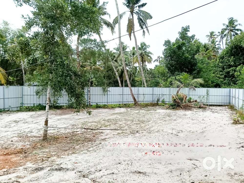 പെരുമ്പാറ ശ്രീ ശങ്കര സെൻട്രൽ ജംഗ്ലീഷ് മീഡിയം സ്കൂളിന് സമീപം 10 സെന്റ്