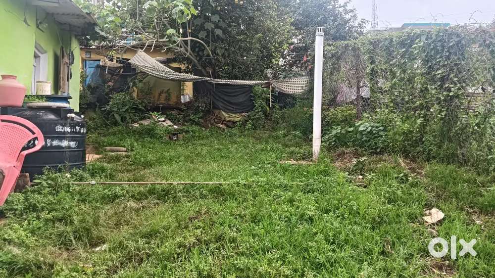 At Coonoor, aruvankadu