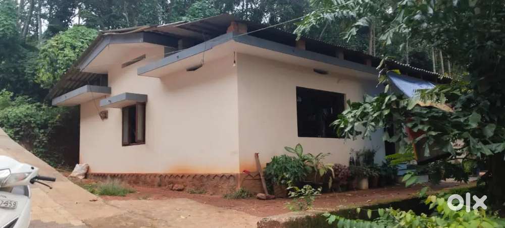 House for rent