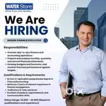 Wanted Senior Finance Executive