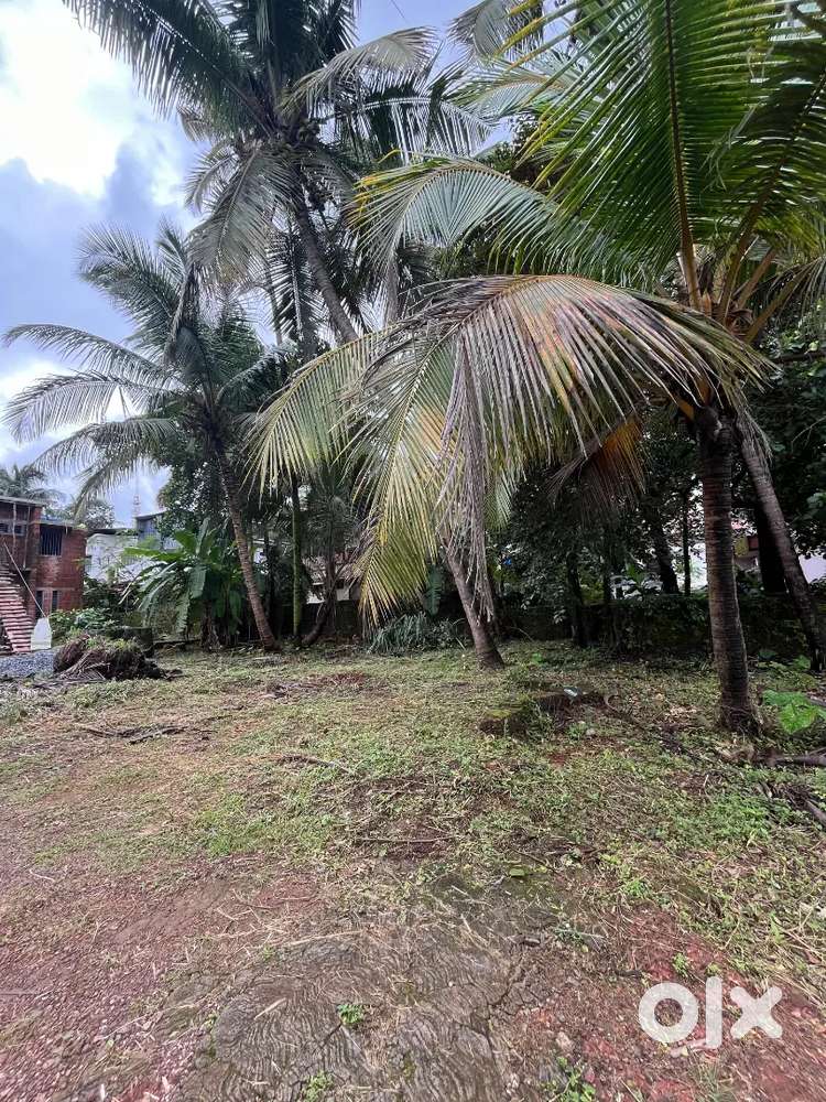 Low budget plot for sale