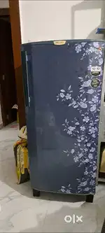 Fridge/refrigerator