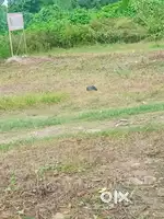 Prime location par hai road ke kinare