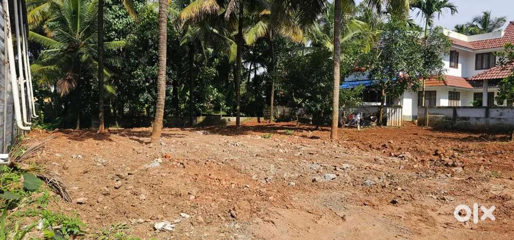 Near Amala hospital /opposite to sidbi Cynthia park villas