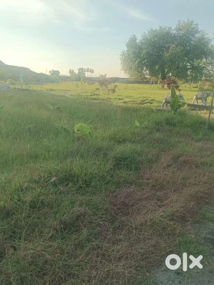 Ponneri  Next  Uppalam  GVN  DTC approved  Square feet  1300