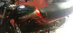 Passion pro 2010