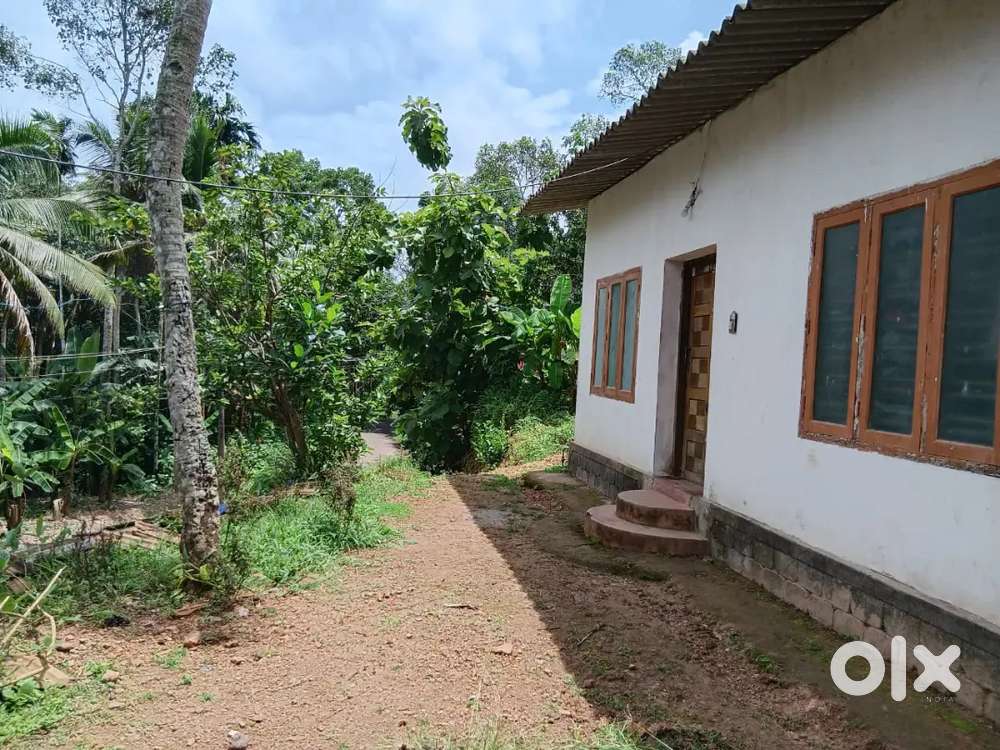 Lorry plot (16 lakhs)