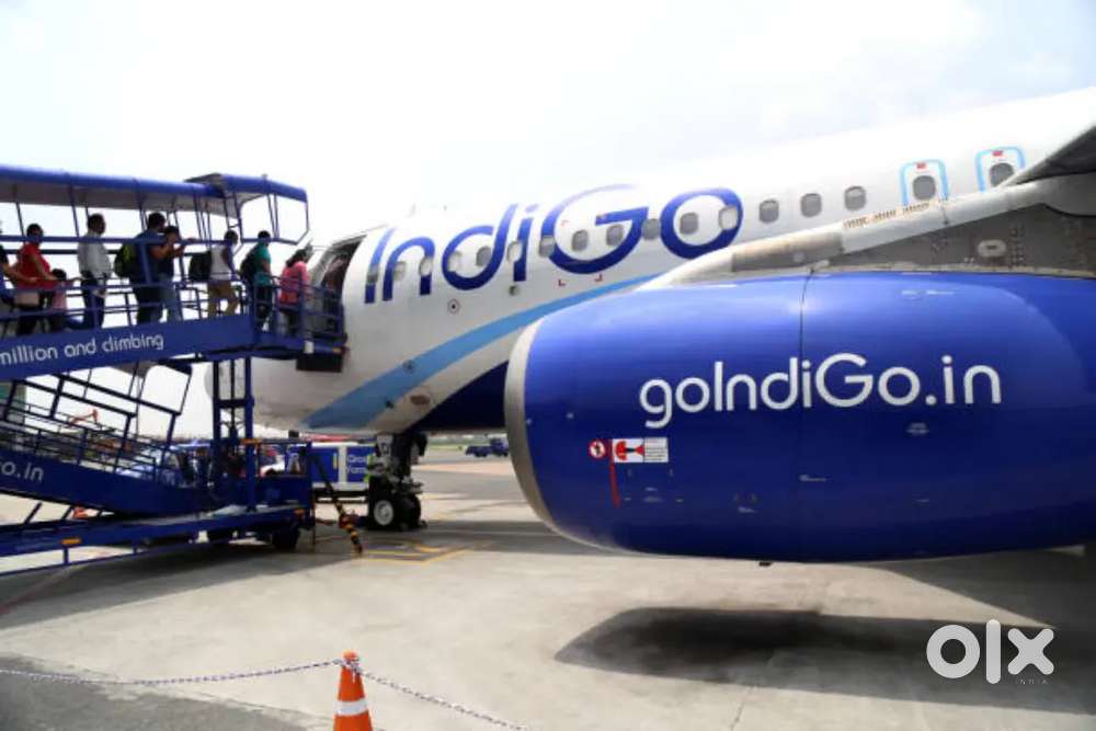 Urgent Hiring male, female both candidates Apply in Indigo Airlines