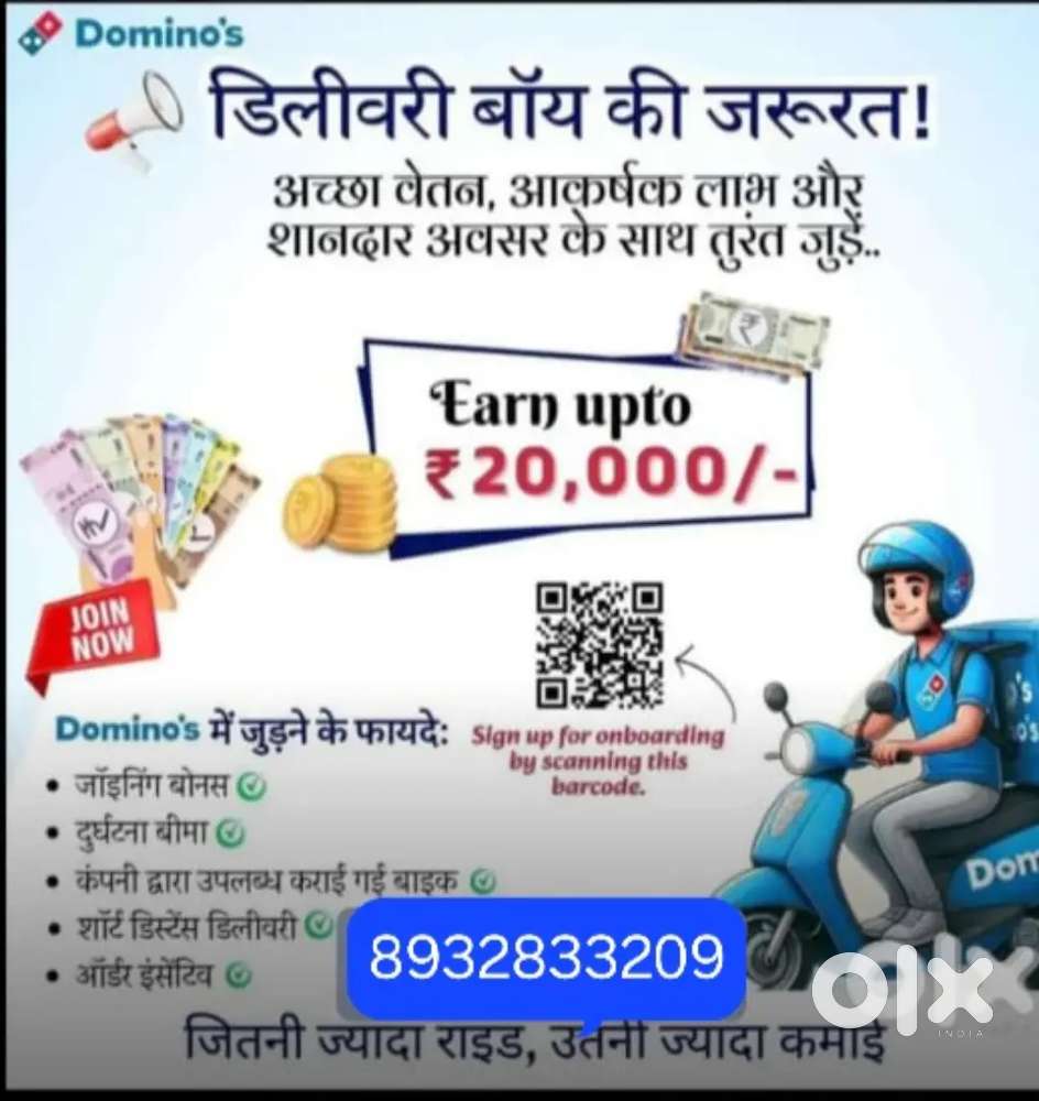 DOMINOS DELIVERY PARTNER