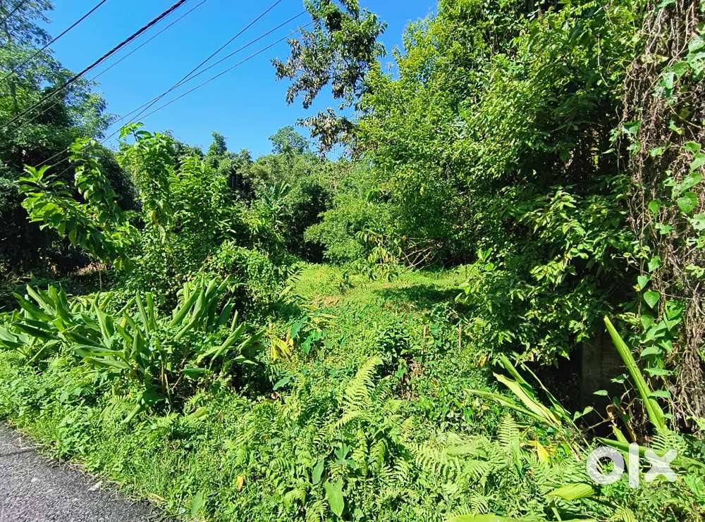 Land for sale in Kumarnisiga