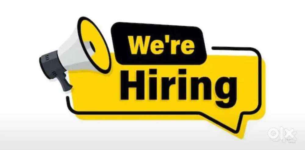 Hiring Alert – 12th Pass & Above!