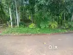 വസ്തു വില്പനയ്ക്