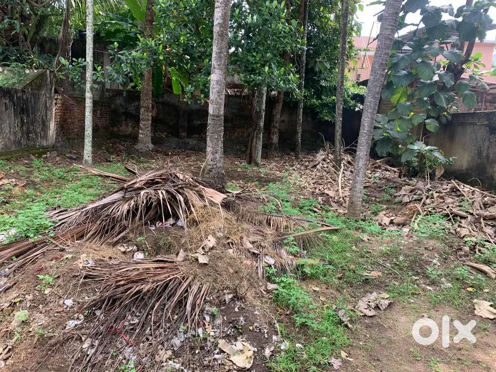 6 cents of square land with an old building