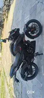 PULSAR N160 2023