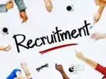 Back office Executive