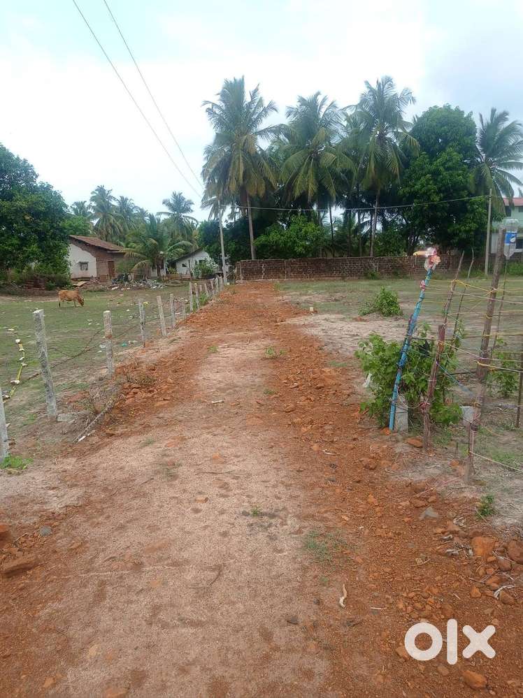 Plots available in Angadi