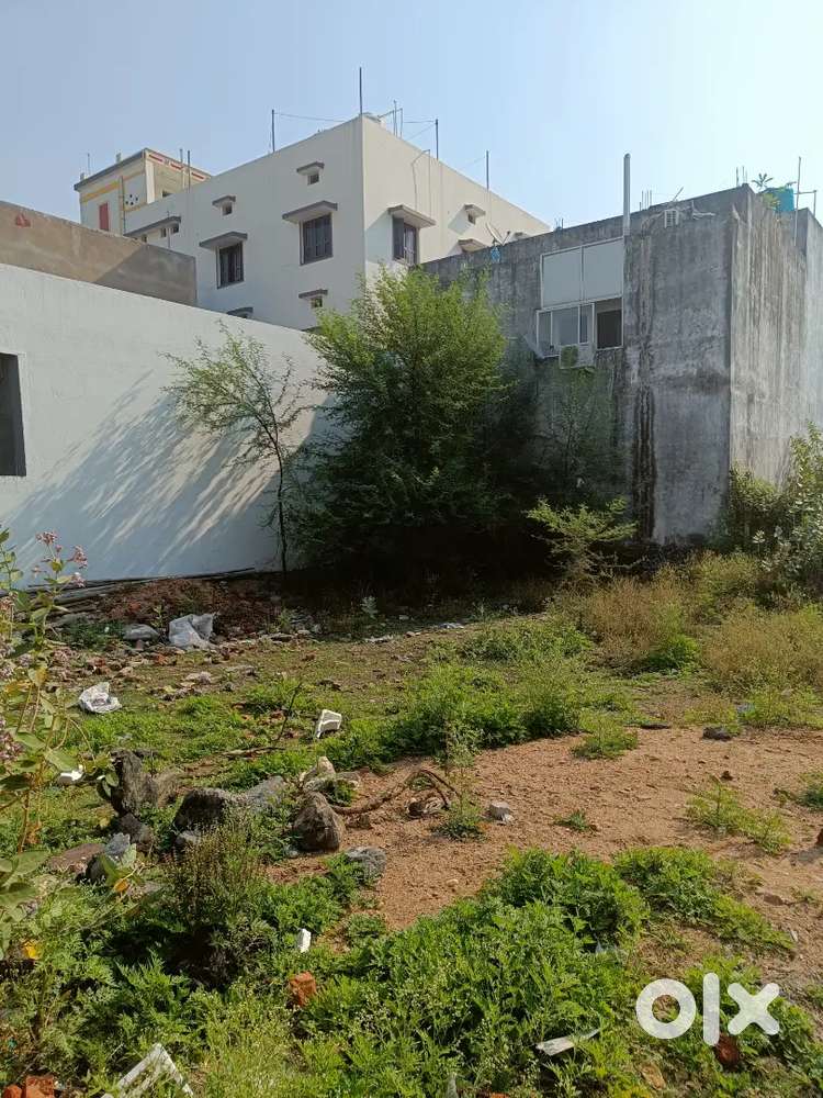 Sita vihar se pahle main road sirgitti me