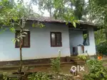 House and plot for sale 26 lack (4.5cent and house)