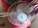 Pedestal fan