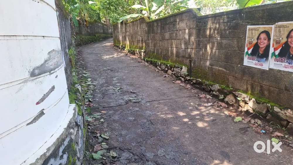 6സെന്റ് ചന്തവിള