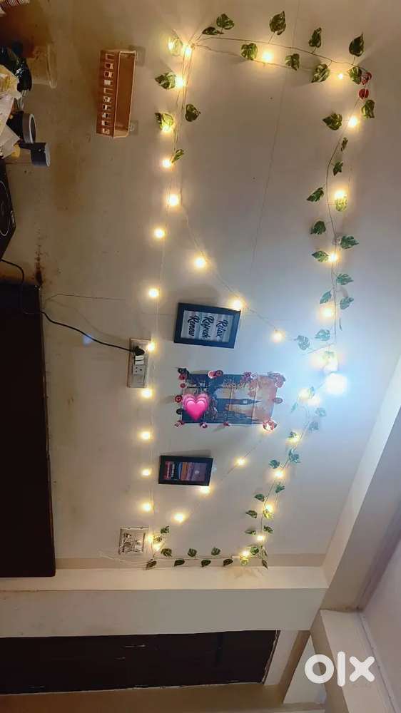Female Room mate required