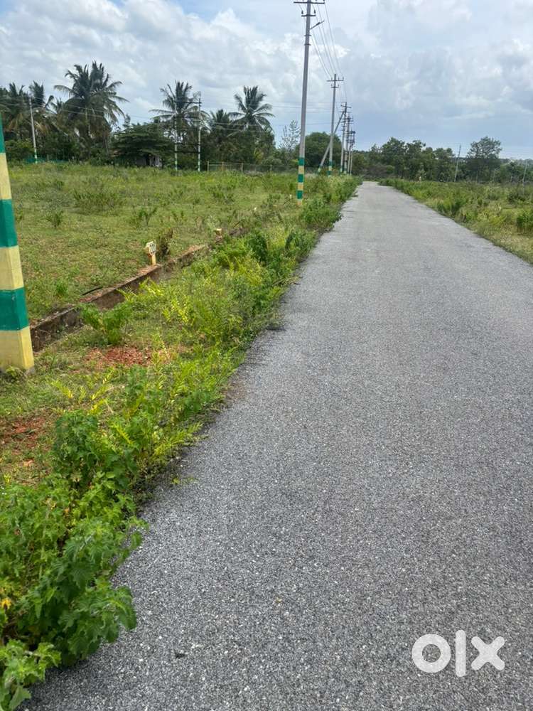 Site for Sale in Saptamatruka Layout Phase-3