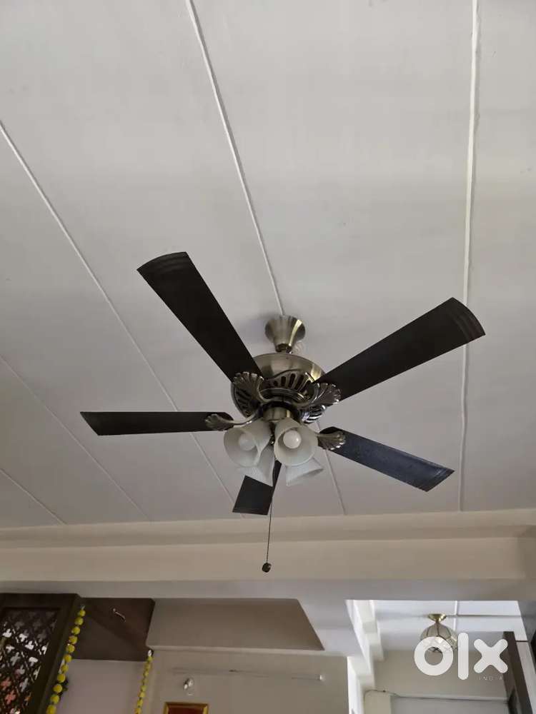 Usha fontana fan