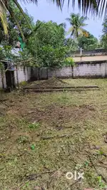 House plot for sale at Residential area near Vytilla mobility hub.