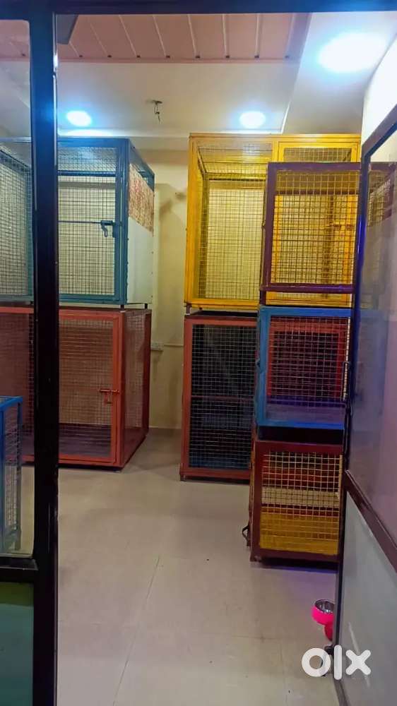 Dogsand Cats Cage