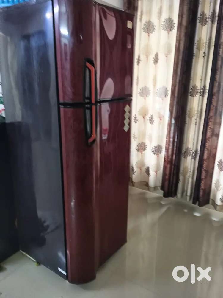 Double door freeze-300 ltr(Make-Godrej)