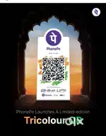 Phonepe sales executive