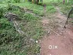 Karikkamkulam 20 Cent House Plot