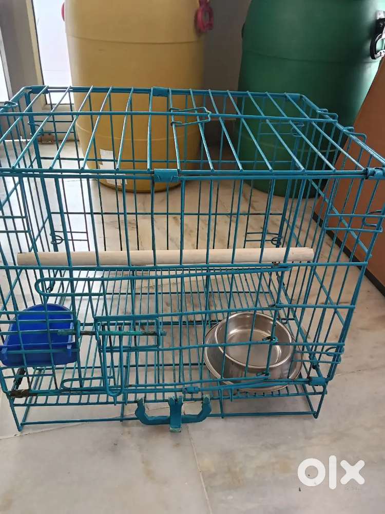 Cage  dog and Bird