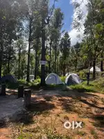 Urgent requirement all rounder chef kodaikanal resort