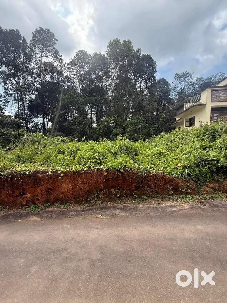 Pala റൂട്ടിൽ Highway അടുത്ത്  10, 20 cent