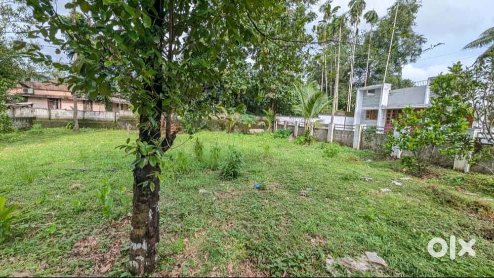 Puliyanam Junction 10 Cent Villa Plots ₹2 L DP Free Reg. 90% Loan