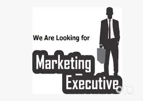 experienced marketing executive